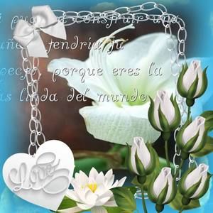 Meet your Posher, Denid